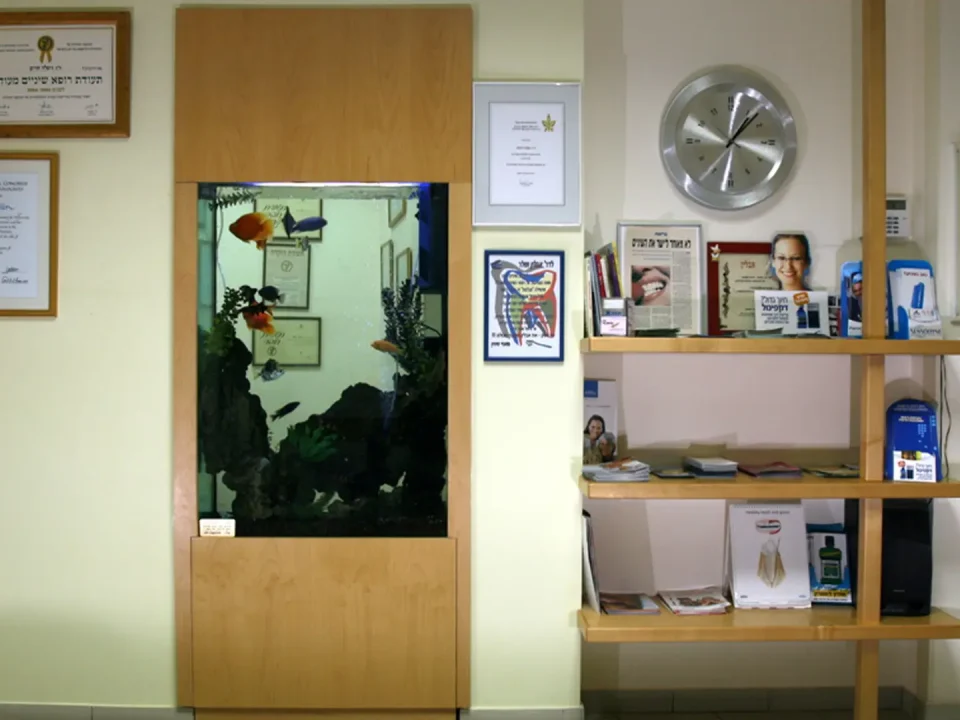 צילום של האקווריום בתוך הקיר בחדר המתנה, מעבר לאקווריום אפשר לראות חדר נוסף