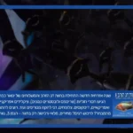 דגי נוי למכירה: להקת דגי אף פיל באקווריום מתוך משלוח ינואר 2026 בחוות דג הזהב, נווה ימין.